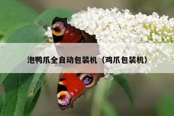 泡鴨爪全自動(dòng)包裝機(jī)(雞爪包裝機(jī))