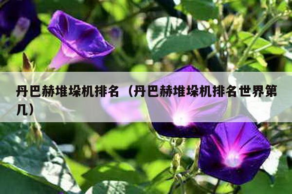 丹巴赫堆垛機排名(丹巴赫堆垛機排名世界第幾)