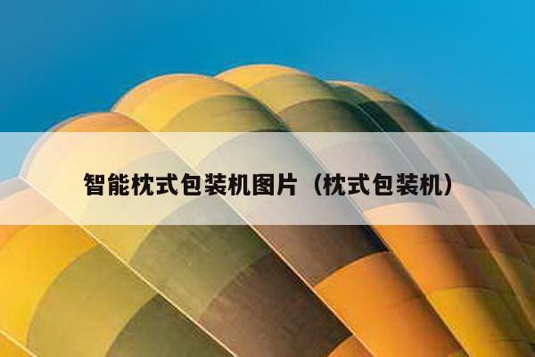 智能枕式包裝機圖片(枕式包裝機)