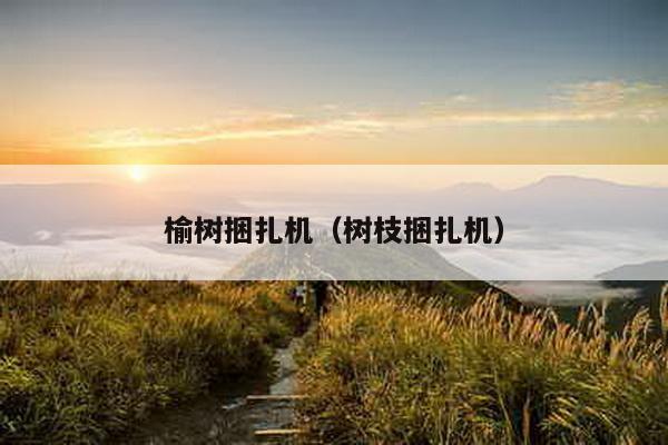 榆樹捆扎機(jī)(樹枝捆扎機(jī))