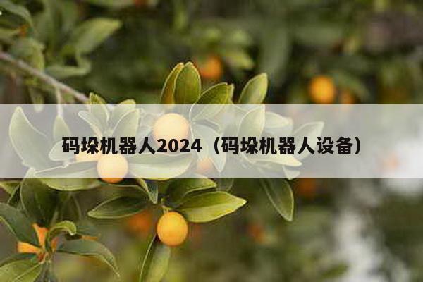 碼垛機器人2024(碼垛機器人設備)