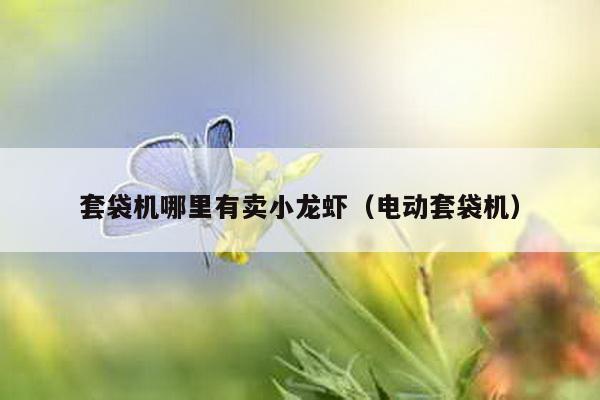 套袋機哪里有賣小龍蝦(電動套袋機)