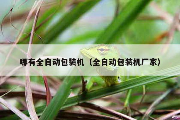 哪有全自動包裝機(全自動包裝機廠家)