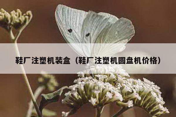 鞋廠注塑機裝盒(鞋廠注塑機圓盤機價格)