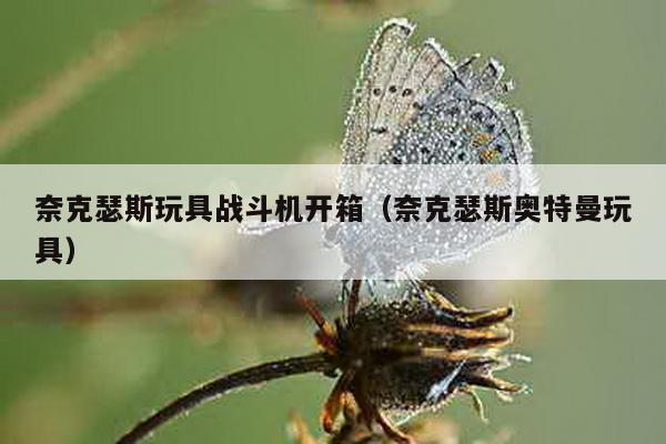 奈克瑟斯玩具戰(zhàn)斗機(jī)開箱(奈克瑟斯奧特曼玩具)