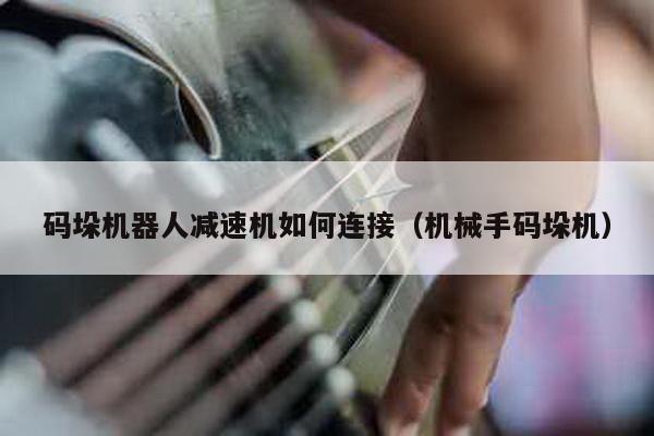 碼垛機器人減速機如何連接(機械手碼垛機)