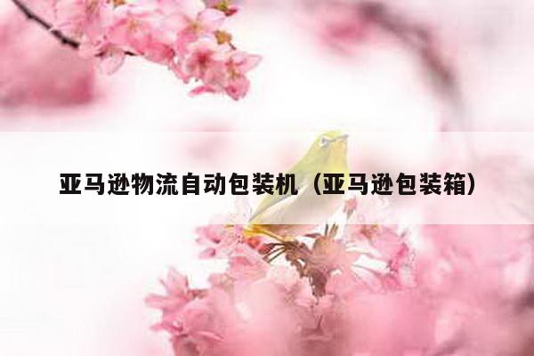 亞馬遜物流自動包裝機(亞馬遜包裝箱)