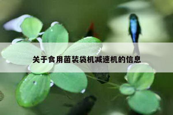 關于食用菌裝袋機減速機的信息