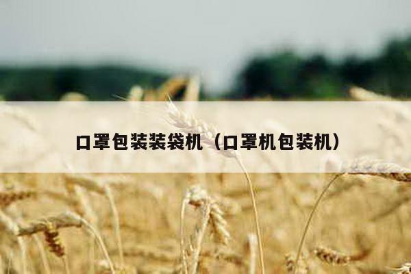 口罩包裝裝袋機(口罩機包裝機)