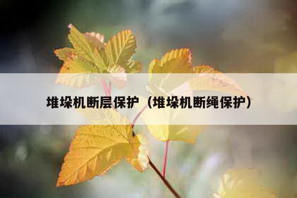 堆垛機斷層保護(堆垛機斷繩保護)