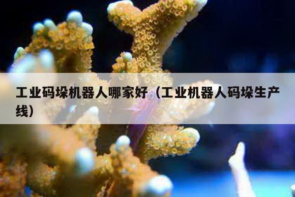 工業碼垛機器人哪家好(工業機器人碼垛生產線)