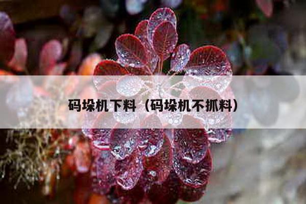 碼垛機下料(碼垛機不抓料)