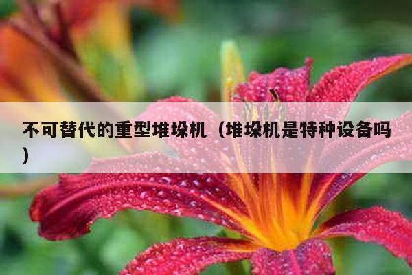 不可替代的重型堆垛機(堆垛機是特種設備嗎)