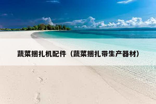 蔬菜捆扎機配件(蔬菜捆扎帶生產器材)