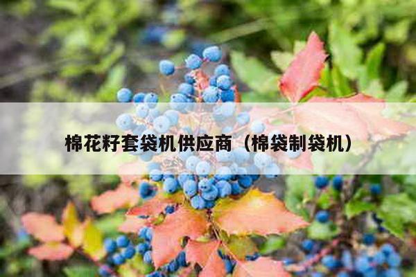 棉花籽套袋機供應商(棉袋制袋機)