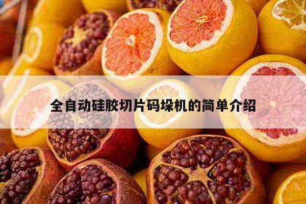 全自動硅膠切片碼垛機的簡單介紹