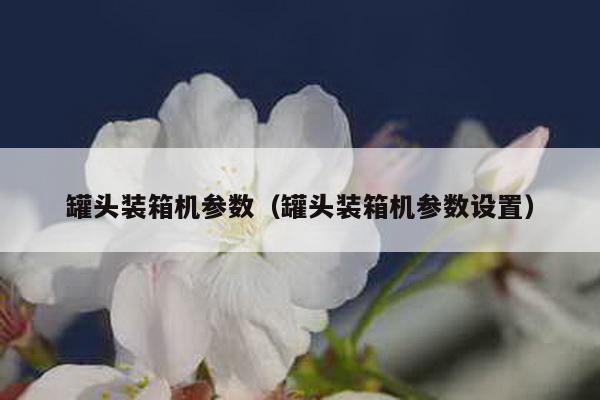 罐頭裝箱機參數(罐頭裝箱機參數設置)