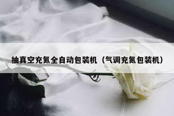 抽真空充氮全自動包裝機(氣調充氮包裝機)