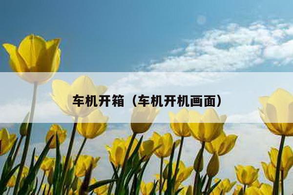 車機(jī)開箱(車機(jī)開機(jī)畫面)