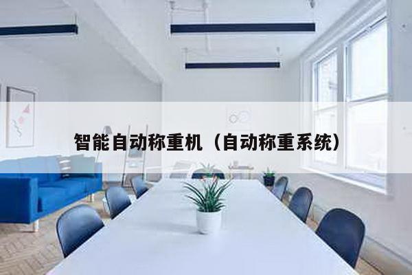 智能自動(dòng)稱(chēng)重機(jī)(自動(dòng)稱(chēng)重系統(tǒng))
