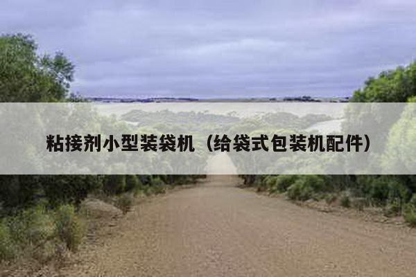 粘接劑小型裝袋機(jī)(給袋式包裝機(jī)配件)