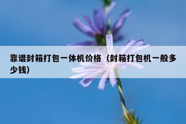 靠譜封箱打包一體機價格(封箱打包機一般多少錢)