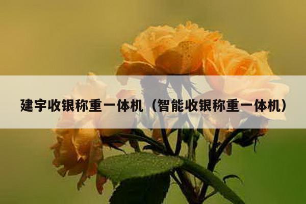 建宇收銀稱重一體機(智能收銀稱重一體機)
