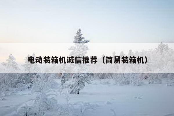 電動裝箱機(jī)誠信推薦(簡易裝箱機(jī))