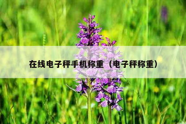 在線電子秤手機稱重(電子秤稱重)