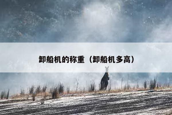 卸船機的稱重(卸船機多高)