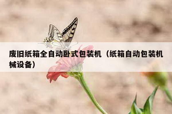 廢舊紙箱全自動(dòng)臥式包裝機(jī)(紙箱自動(dòng)包裝機(jī)械設(shè)備)