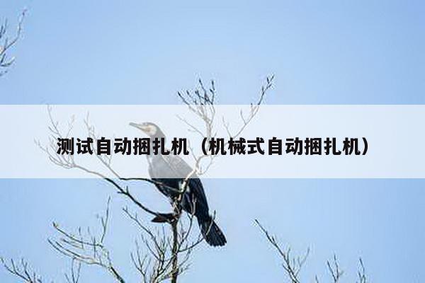 測試自動捆扎機(jī)(機(jī)械式自動捆扎機(jī))