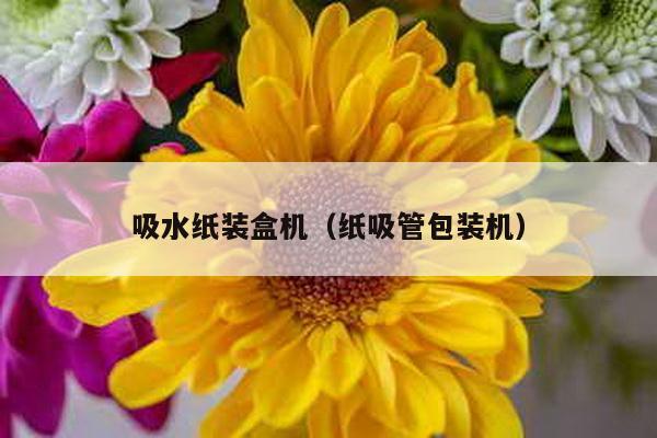 吸水紙裝盒機(紙吸管包裝機)