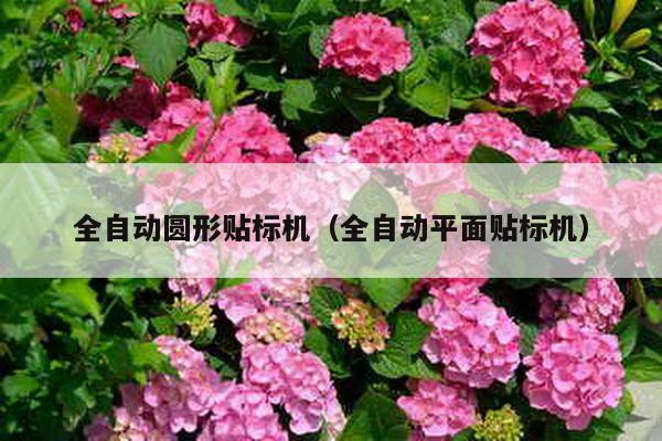 全自動圓形貼標機(全自動平面貼標機)