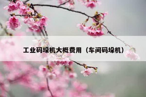 工業碼垛機大概費用(車間碼垛機)