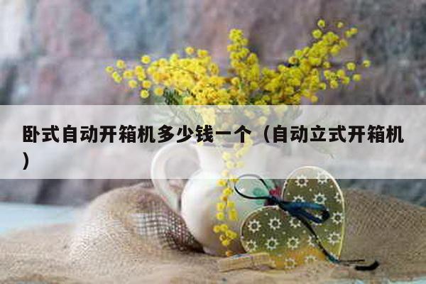 臥式自動(dòng)開箱機(jī)多少錢一個(gè)(自動(dòng)立式開箱機(jī))