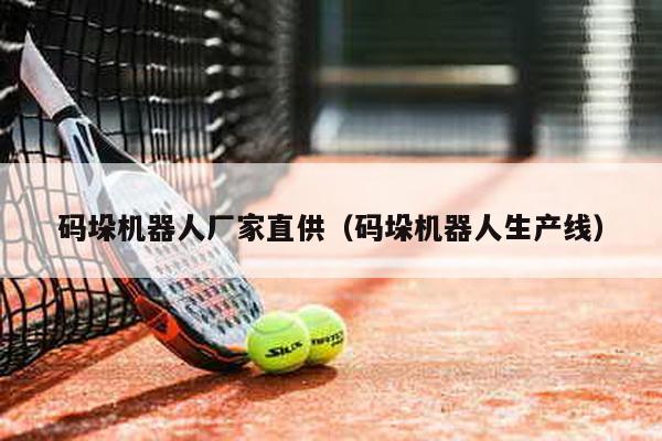 碼垛機器人廠家直供(碼垛機器人生產線)