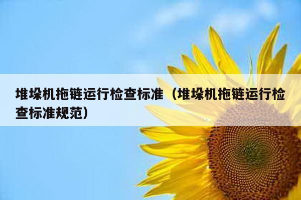 堆垛機(jī)拖鏈運(yùn)行檢查標(biāo)準(zhǔn)(堆垛機(jī)拖鏈運(yùn)行檢查標(biāo)準(zhǔn)規(guī)范)