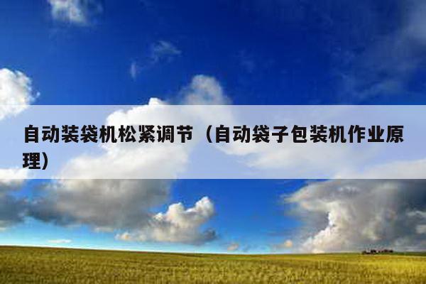 自動(dòng)裝袋機(jī)松緊調(diào)節(jié)(自動(dòng)袋子包裝機(jī)作業(yè)原理)