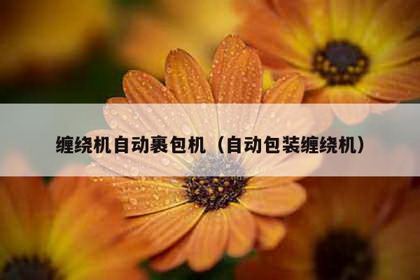 纏繞機自動裹包機(自動包裝纏繞機)
