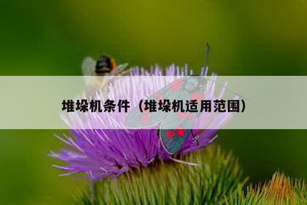 堆垛機條件(堆垛機適用范圍)