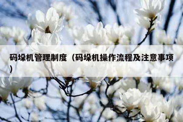 碼垛機管理制度(碼垛機操作流程及注意事項)