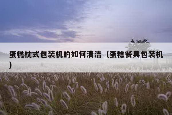 蛋糕枕式包裝機的如何清潔(蛋糕餐具包裝機)